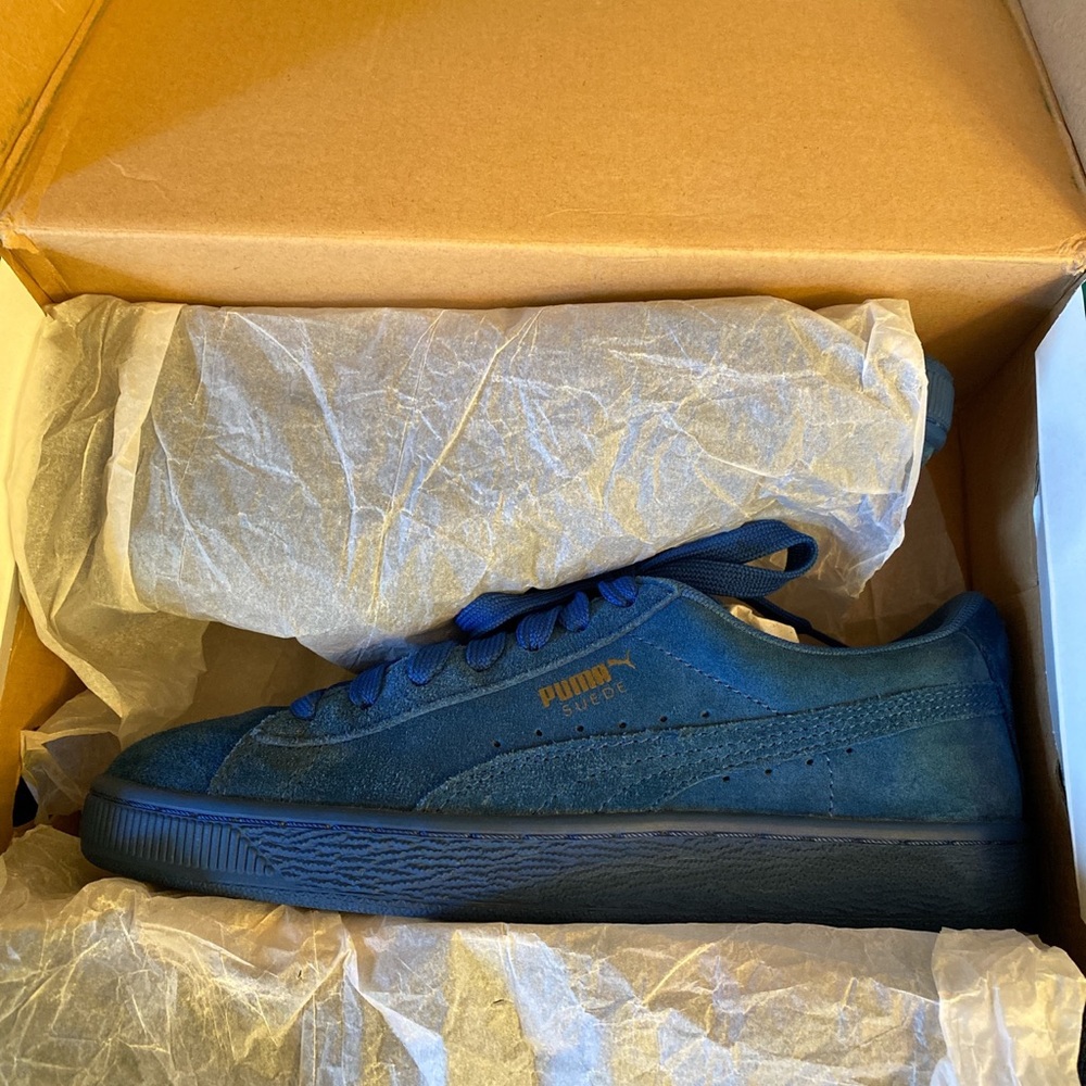 Blue pumas